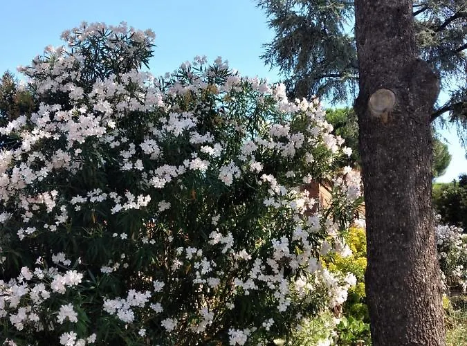 La Casa Degli Oleandri 4* Roma